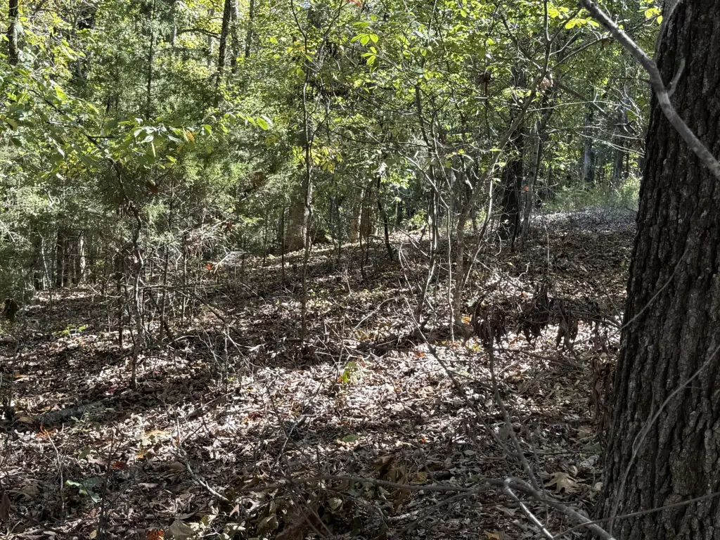Picture 13