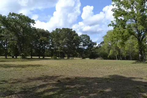 Ava, MO Acreage with Pasture