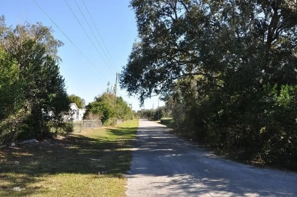 Picture 8