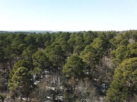 Scenic East Texas Land Parcel