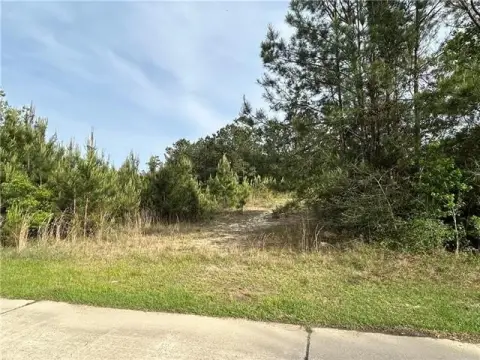 Residential Land in Quiet Neighborhood