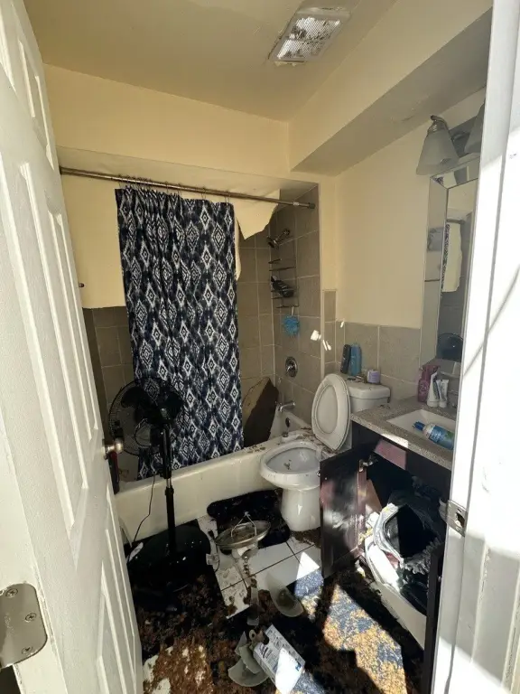 Picture 12