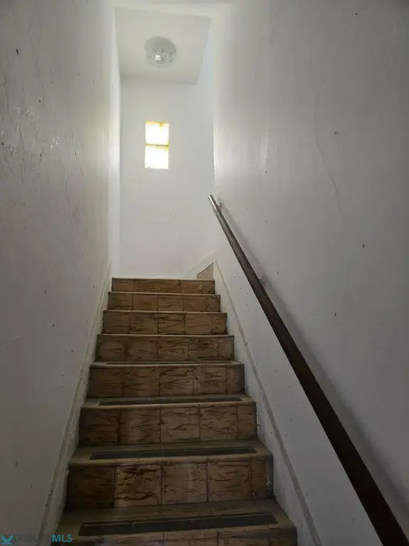 Picture 4