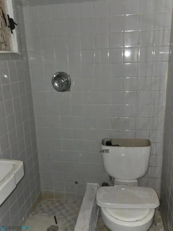 Picture 29