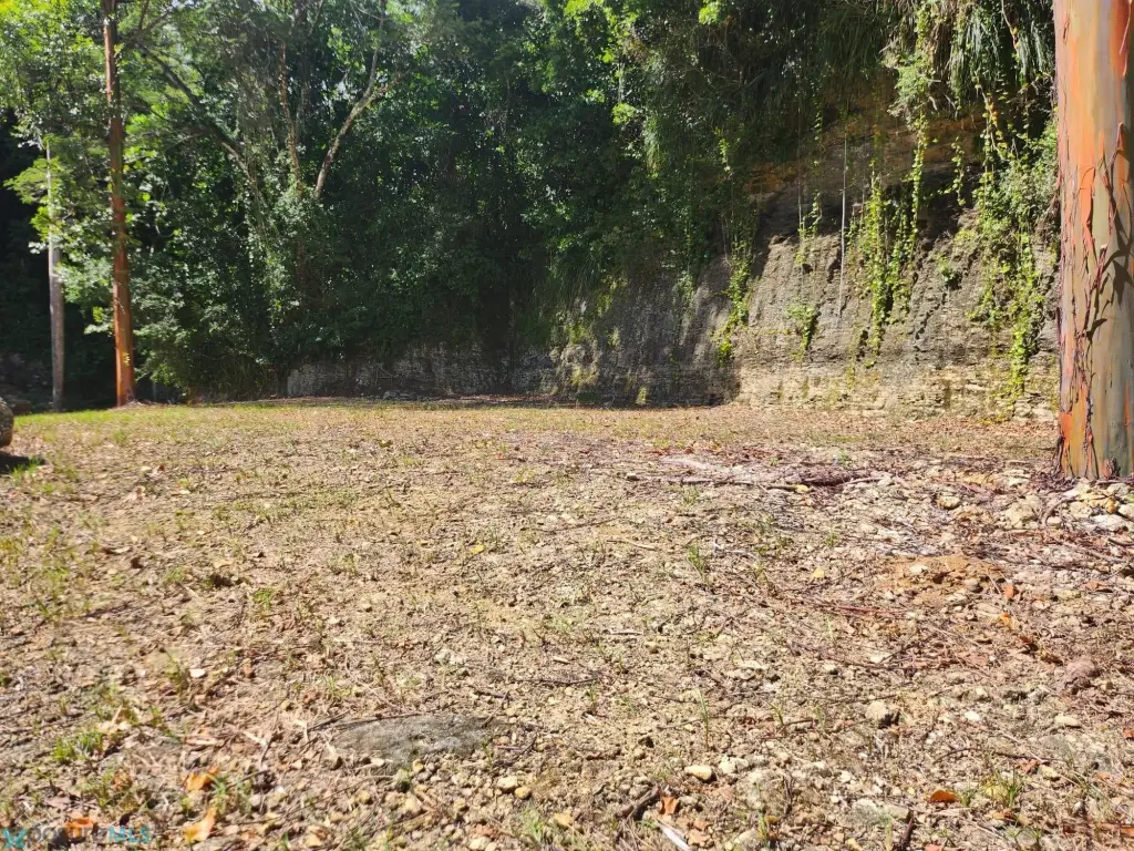 Picture 13