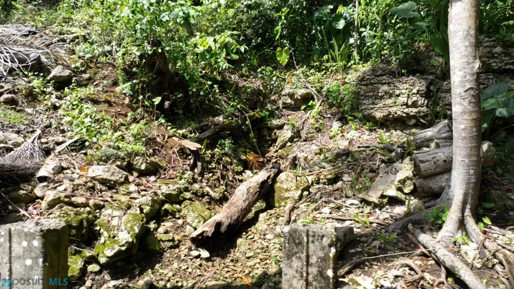 Picture 37