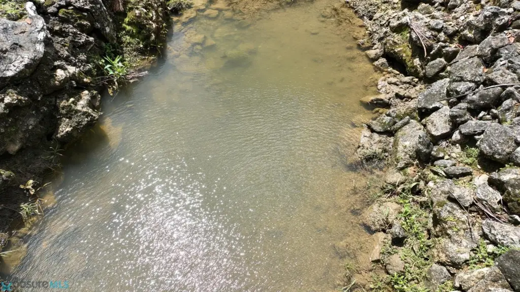 Picture 25