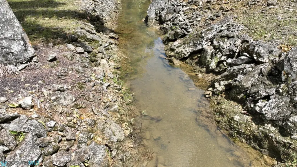 Picture 22