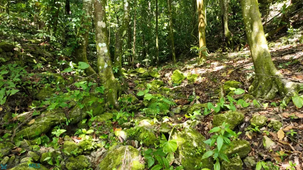 Picture 29