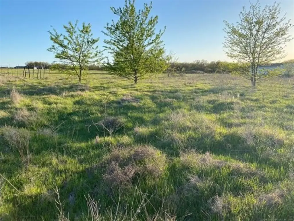Picture 25