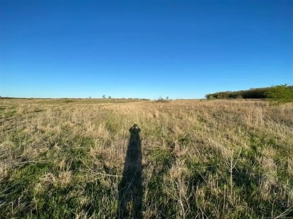 Picture 21