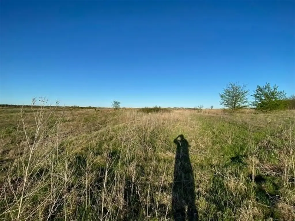 Picture 19