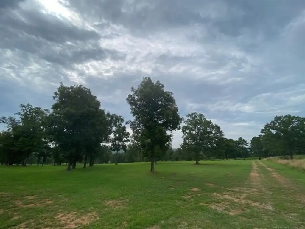 Picture 33