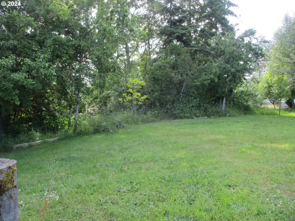 Picture 13