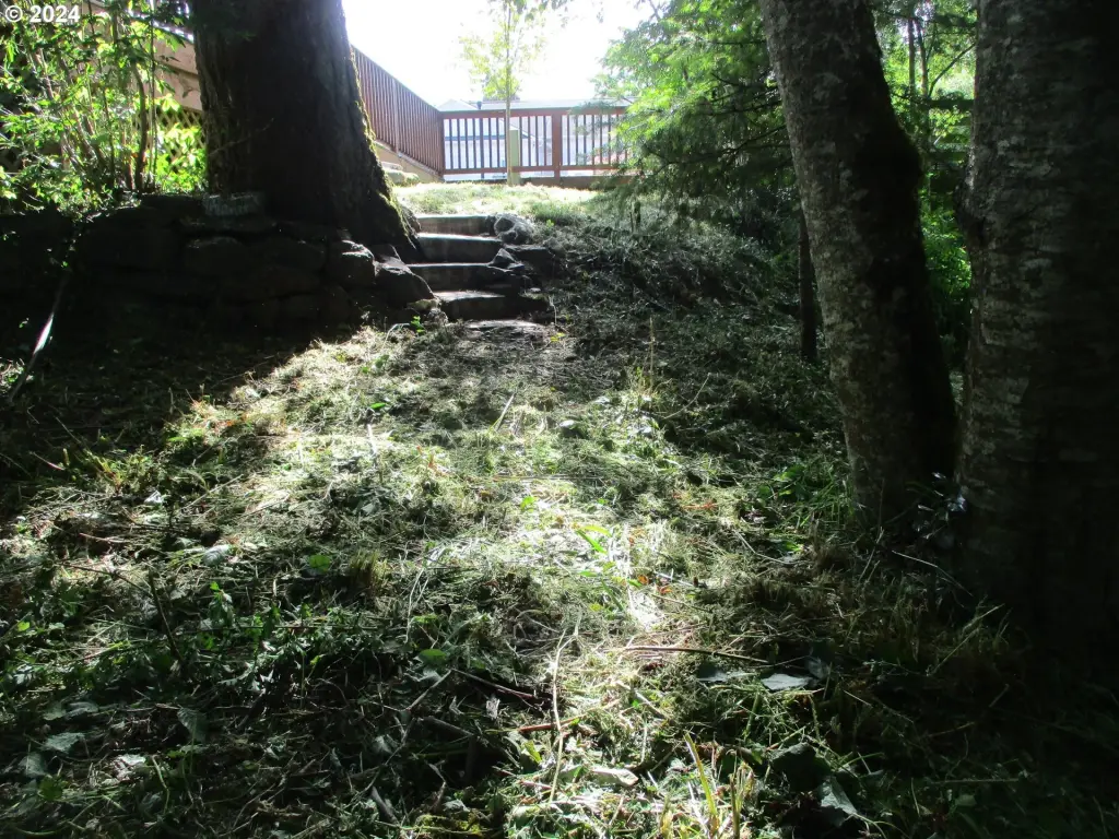 Picture 15