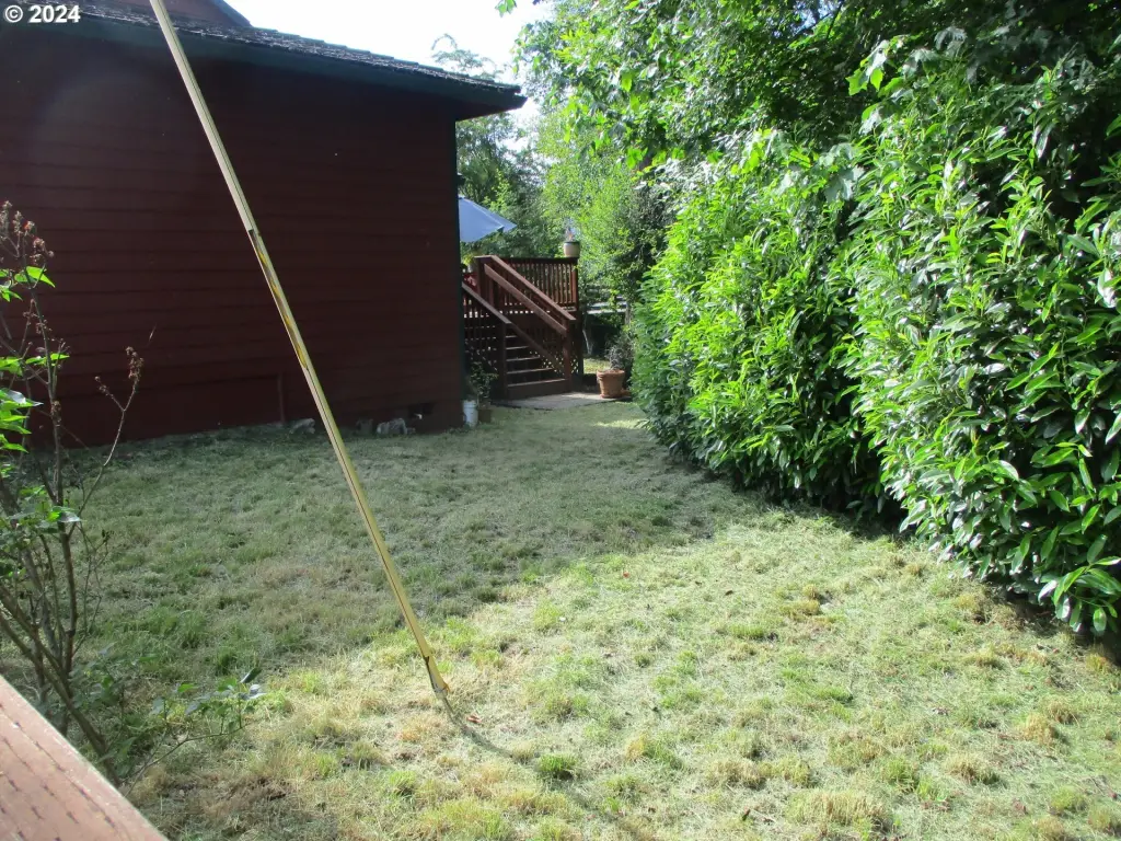 Picture 11