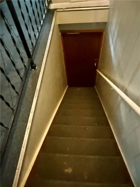 Picture 11