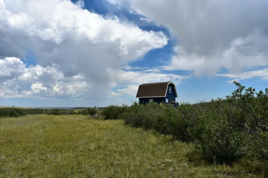 Picture 35