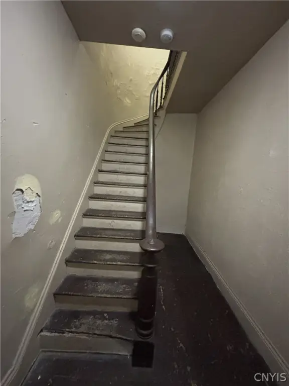 Picture 10