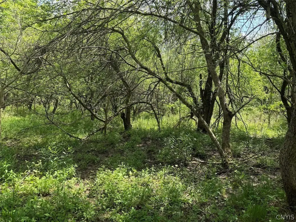 Picture 19