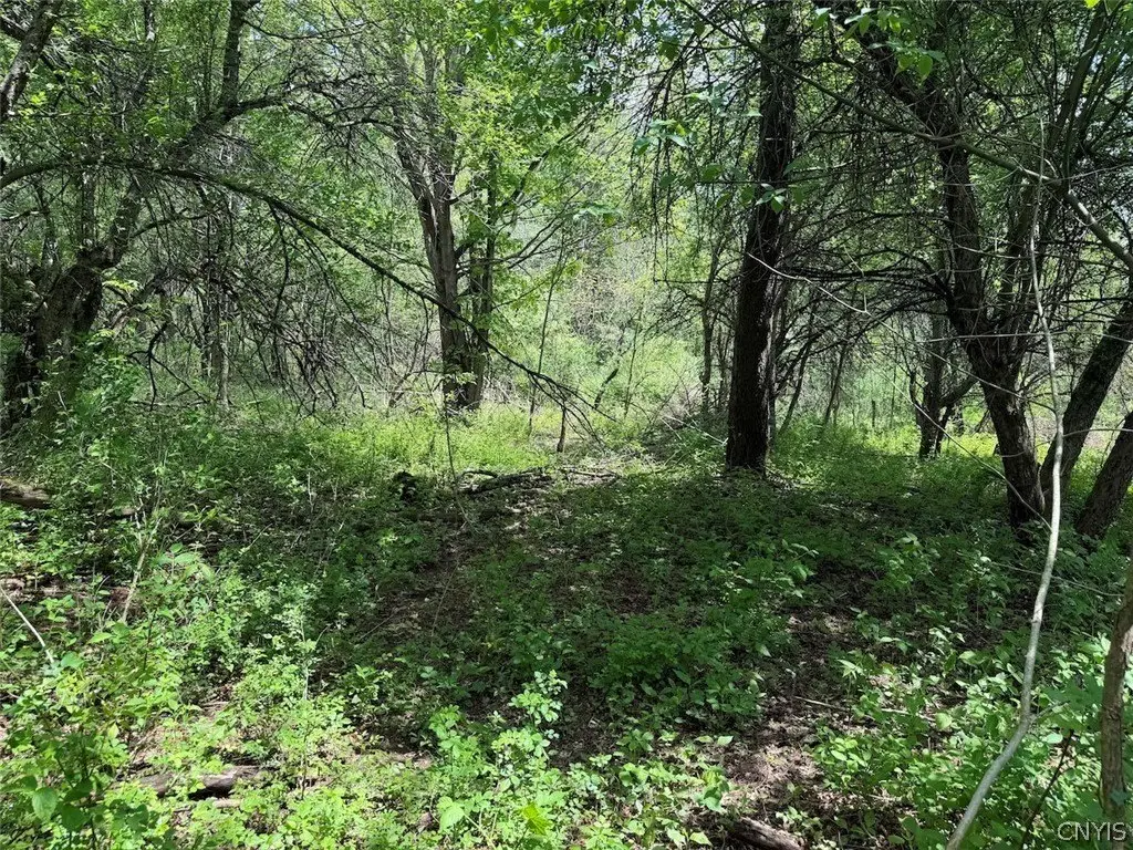 Picture 21
