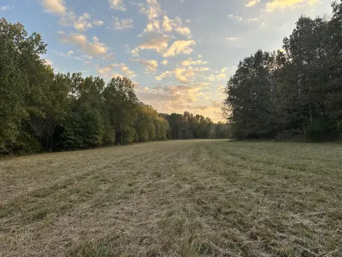Beautiful 12-Acre Fremont Tract