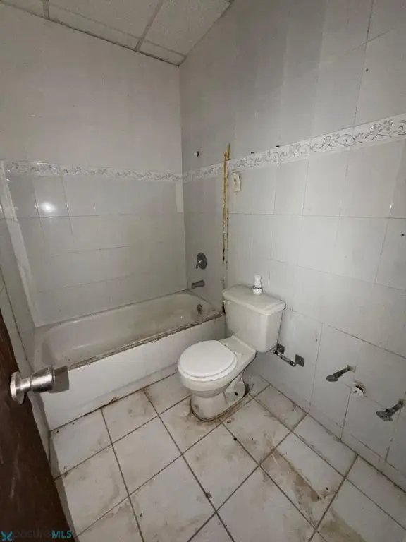 Picture 14