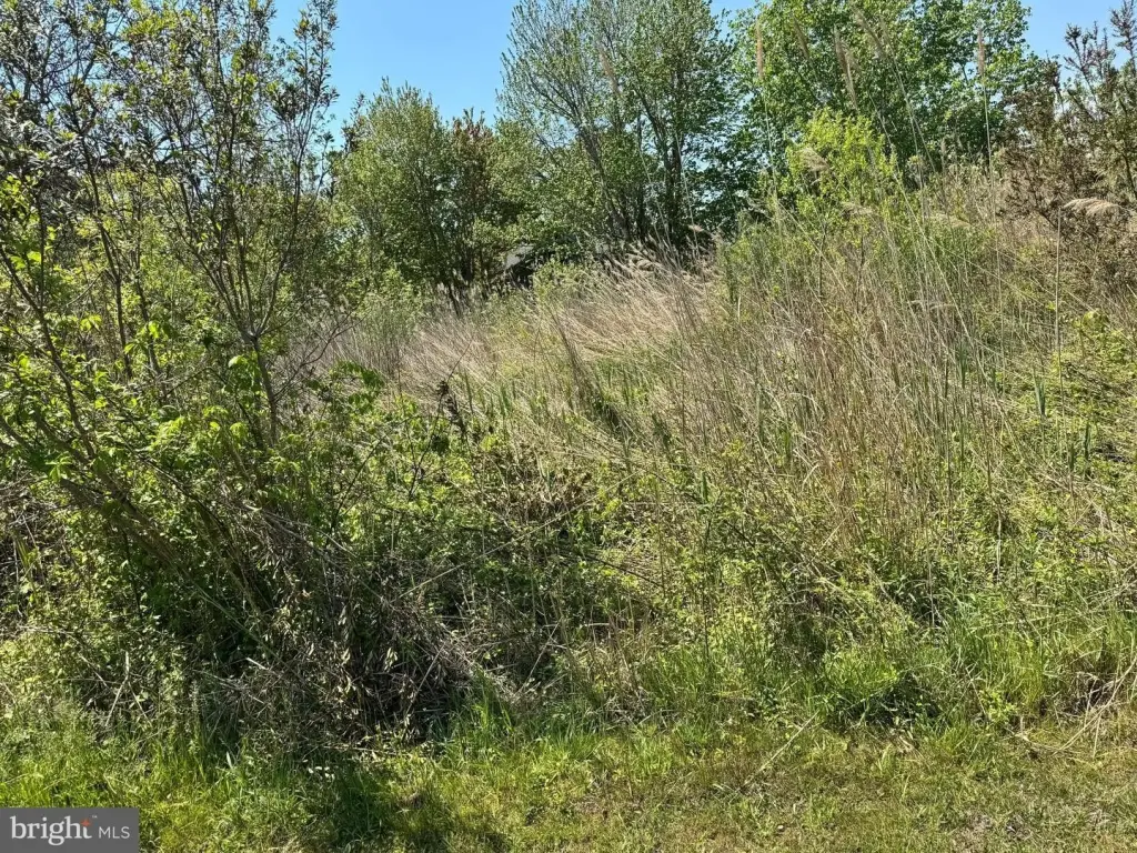 Picture 8