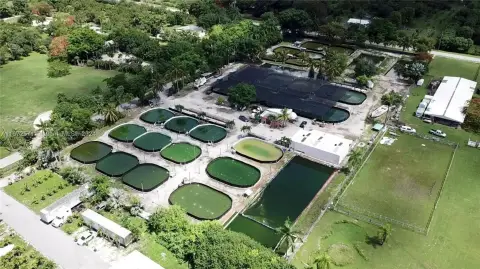 Fish Farm Business Opportunity