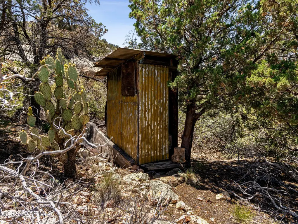 Picture 20