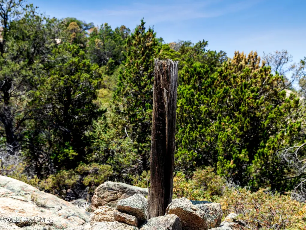 Picture 19