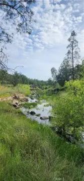 Palermo Land with Creek Views