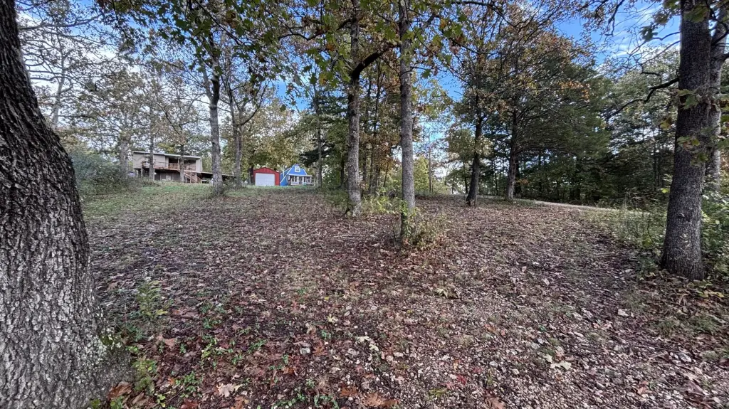 Picture 14