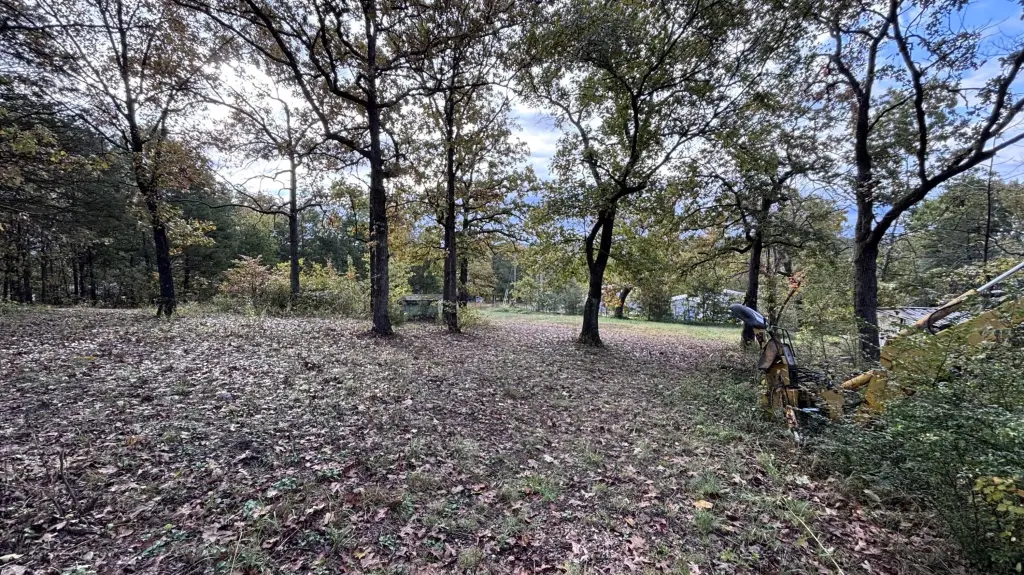 Picture 10