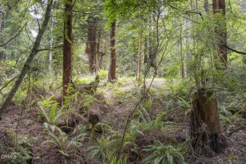 Fort Bragg Land with Utilities