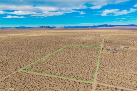 20 Acre Joshua Tree Land