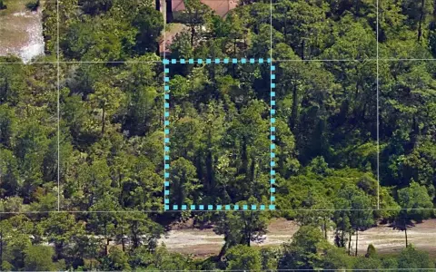 Vacant Land in Volusia County