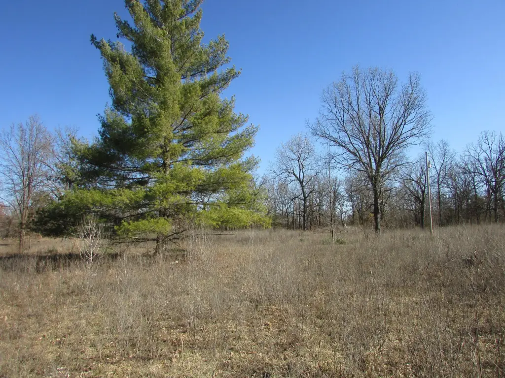 Picture 6
