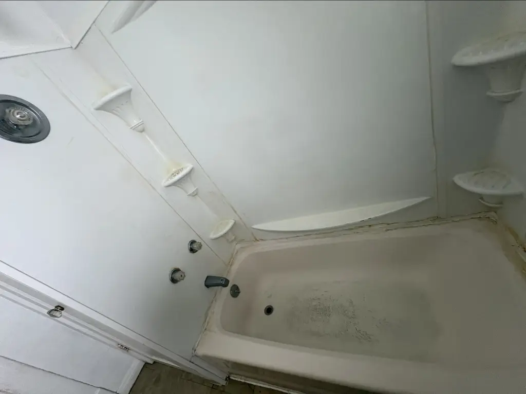 Picture 17