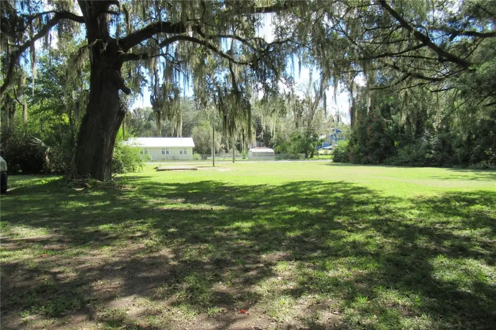 Picture 8