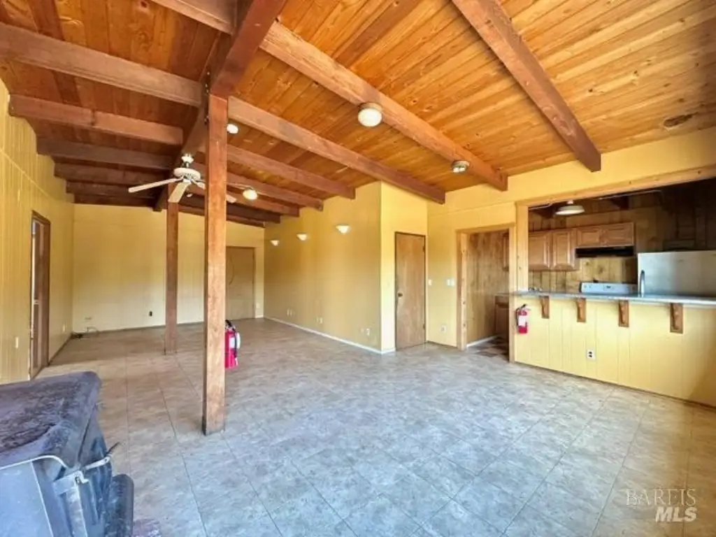 Picture 15