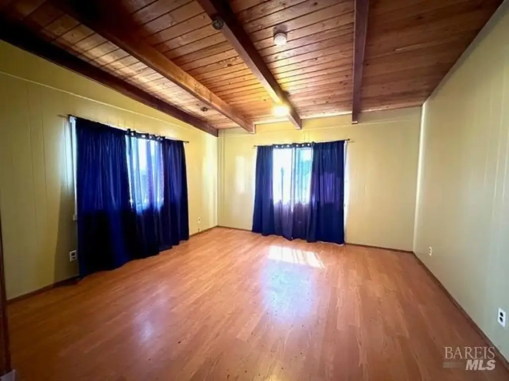 Picture 16