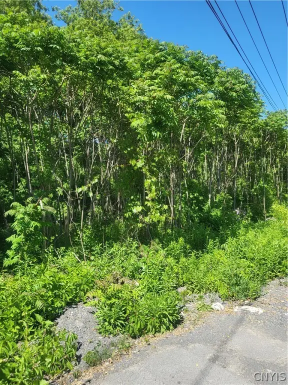 Picture 2