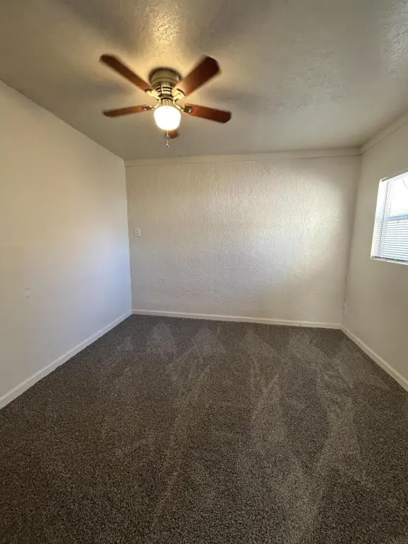 Picture 18