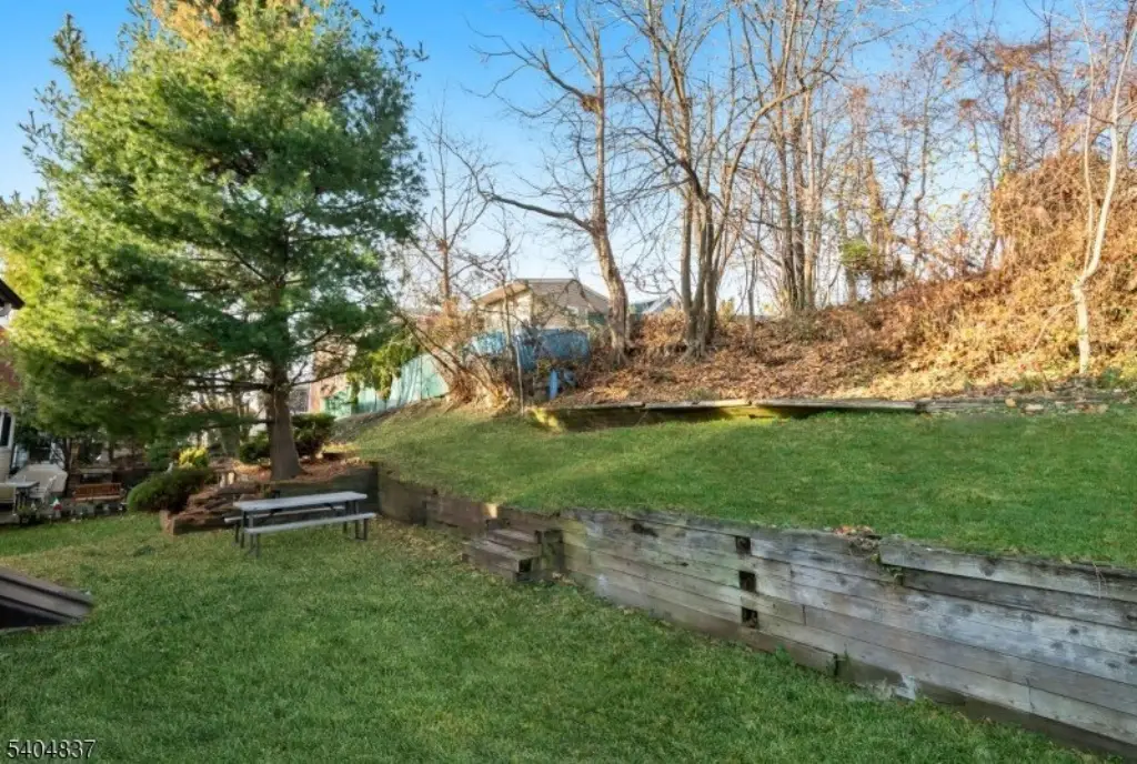 Picture 16