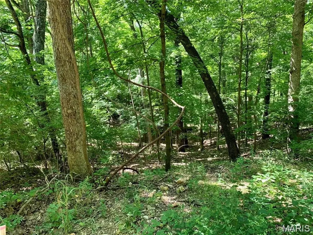 Picture 9