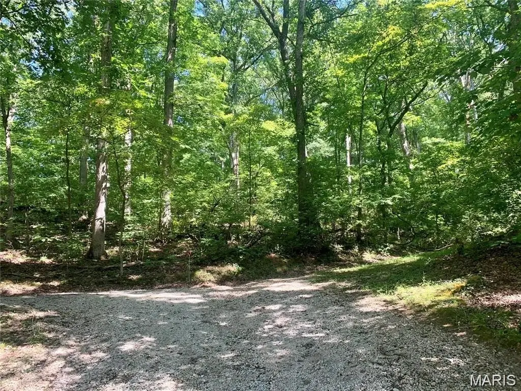 Picture 7