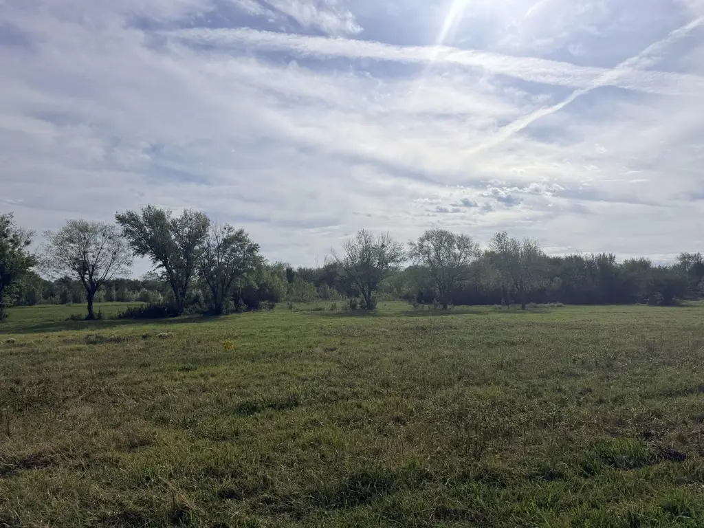 Picture 8