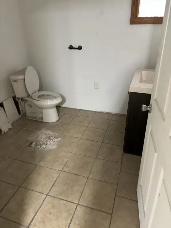 Picture 10