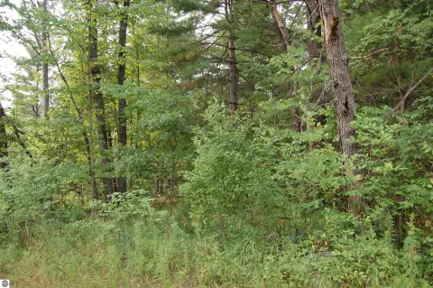 Wooded Lot Near Outdoor Activities